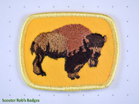 Click to enlarge Bison